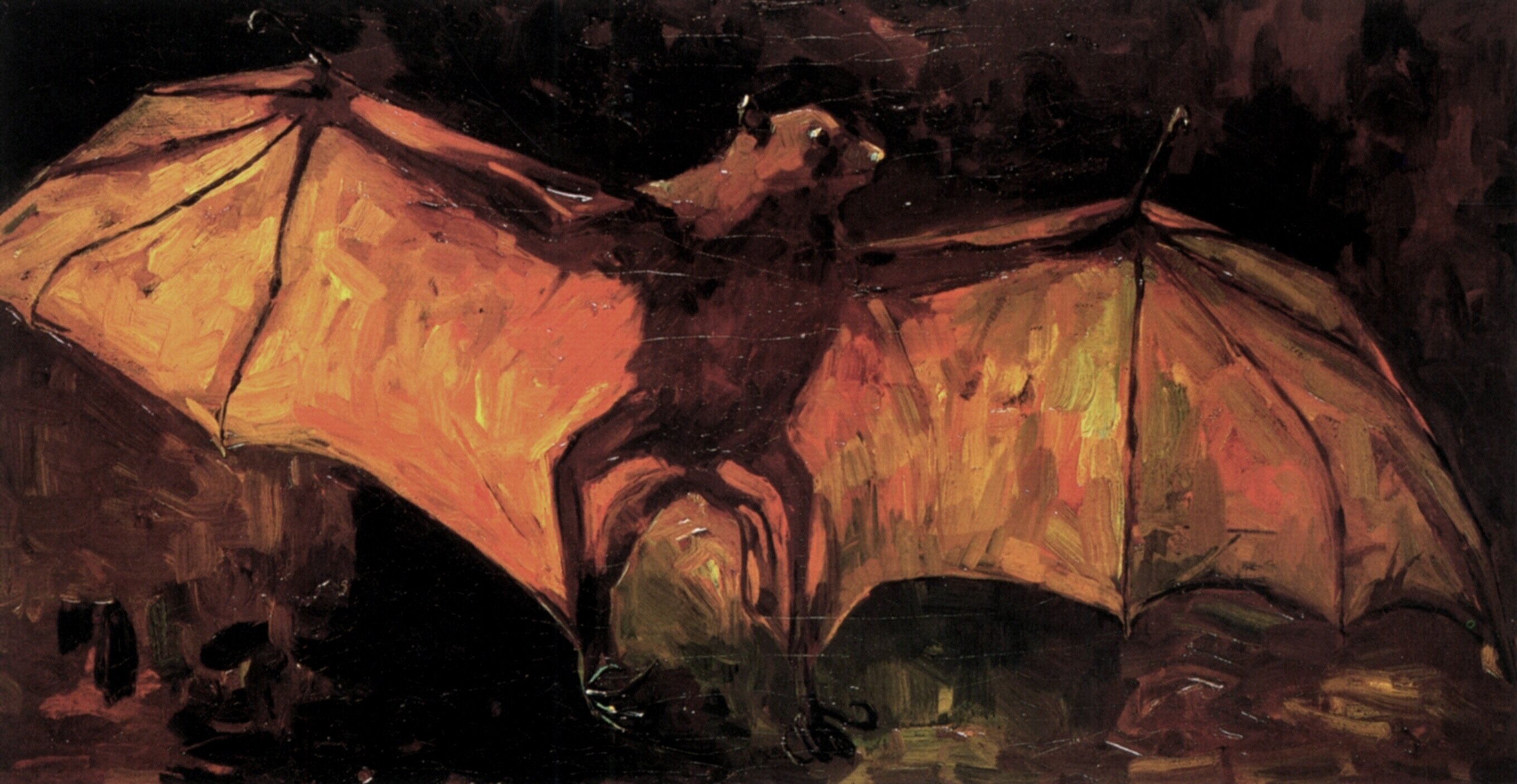 Ван Гог Нюэнен Летучая собака (Птеропус) 2720x1407